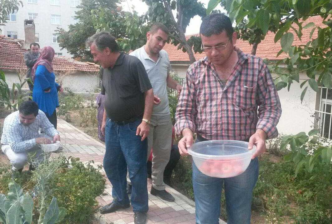 Ruh Sağlığı Hastalarına Bahçe Terapisi 