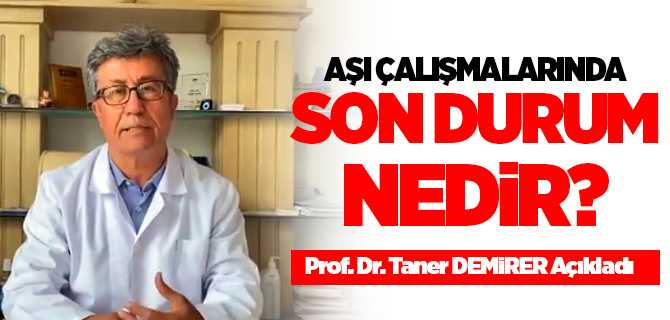 Covid-19 Aşı çalışmalarında son durum ne? Prof. Dr. Taner Demirere açıkladı