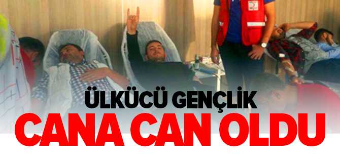 Yozgat Ülkü Ocaklarından Kan Bağışına Destek