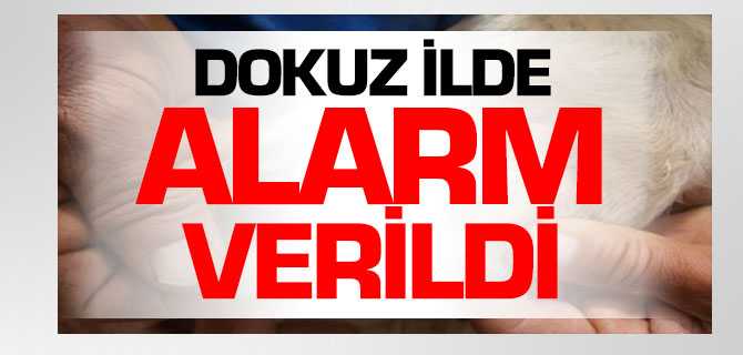 Dokuz İlde KKKA Alarmı