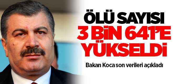 Bakan Koca, vefat edenlerin sayısı 3 bin 641'e yükseldi