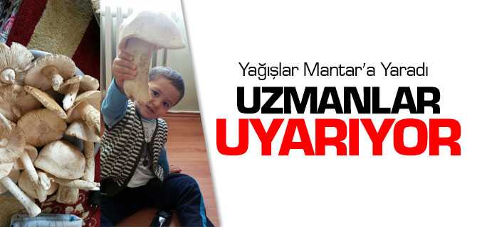 Yağışların Bol Olması Martar'a Yaradı