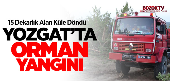 Yozgat'ta orman yangını çıktı