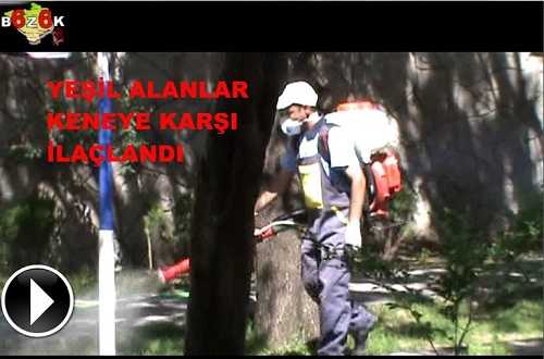 YEŞİL ALANLAR KENE’YE KARŞI İLAÇLANDI