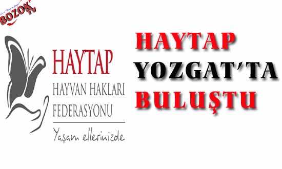 HAYTAP YOZGAT’TA BULUŞTU