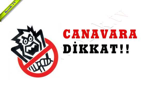 CANAVARA DİKKAT!!