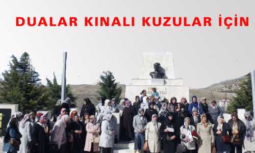DUALAR KINALI KUZULAR İÇİN
