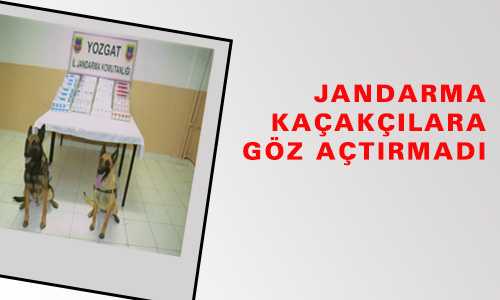 507 PAKET KAÇAK SİGARA YAKALANDI