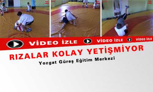 RIZALAR KOLAY YETİŞMİYOR