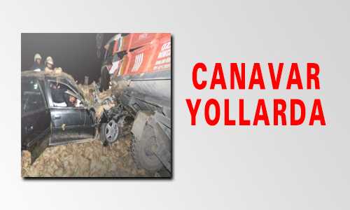 CANAVAR YOLLARDA