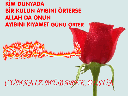 İSLAM’DA HOŞGÖRÜ