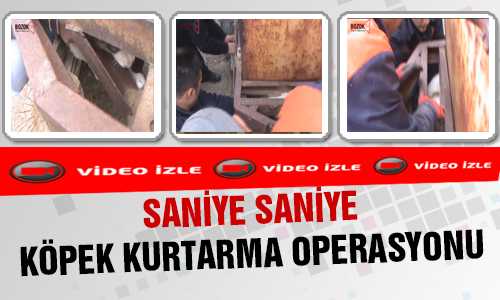 İTFAYEDEN KÖPEK KURTARMA OPERASYONU