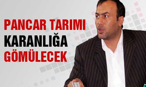 ŞEKER TASARISI ALLAK BULLAK
