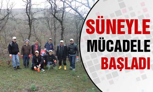 SÜNEYLE BİYOLOJİK MÜCADELE