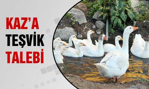 KAZ’A TEŞVİK TALEBİ