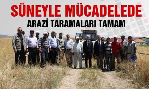 SÜNEDE ARAZİ TARAMASI TAMAMLANDI