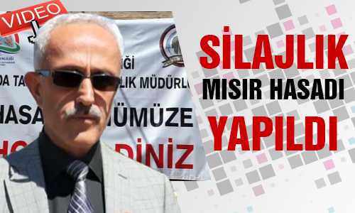 SİLAjLIK MISIR HASADI YAPILDI