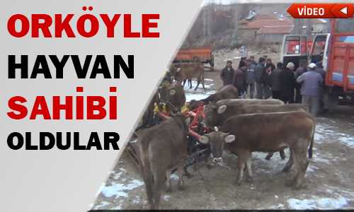 KÖYLÜYE ORKÖY PROJESİYLE HAYVAN DESTEÐİ