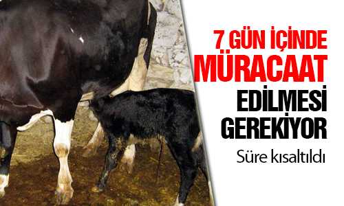 YENİ DOÐAN HAYVANLAR 7 GÜN İÇİNDE KAYIT OLMALI