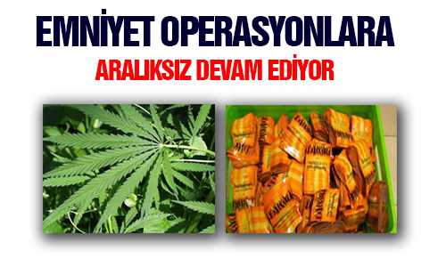 ŞEFAATLİ EMNİYETİ BORZAİ ELE GEÇİRDİ