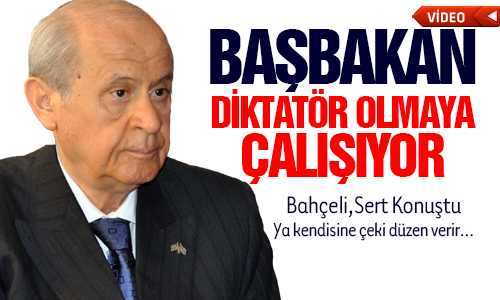 BAHÇELİ BAŞBAKAN KEDİSİNE YA ÇEKİ DÜZEN VERİR