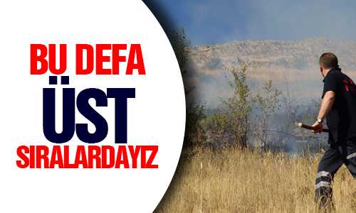 TÜRKİYE’DE EN ÇOK ORMAN KAYBI BU İLLERDE