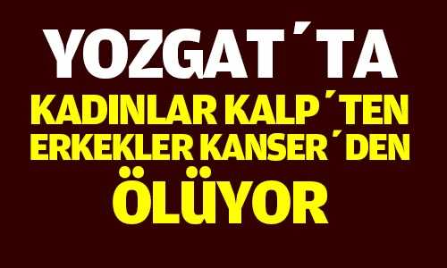 Yozgatlı En Çok Dolaşım Sisteminden Ölüyor