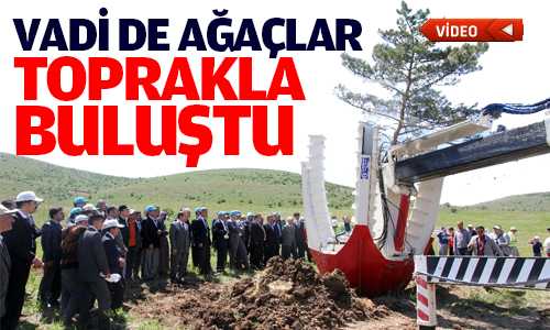 Vadide 93 Bin Ağaç Toprakla Buluştu
