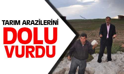 Şiddetli Doluda 80 Dekar Tarım Arazisi Zarar Gördü