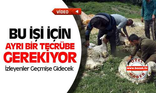 Bu İş İçin Ayrı Bir Tecrübe Gerekiyor