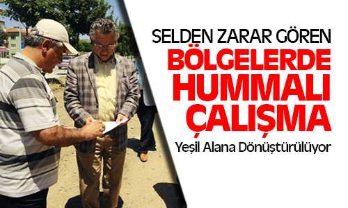Selden Zarar Gören Bölgeler Yeşil Alana Dönüştürülüyor