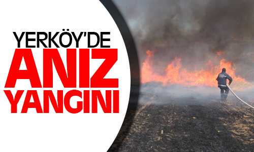 Yerköy’de Anız Yangını