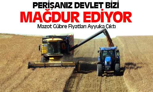 Yerköy’de Çiftçiler Verimden Memnun, Satıştan Dertli