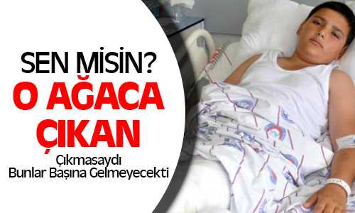 Dut Ağacından Dut Yiyecekti