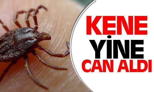 Akdağmadeninde Kene Isırması Sonrası Harun Taştan Hayatını Kaybetti
