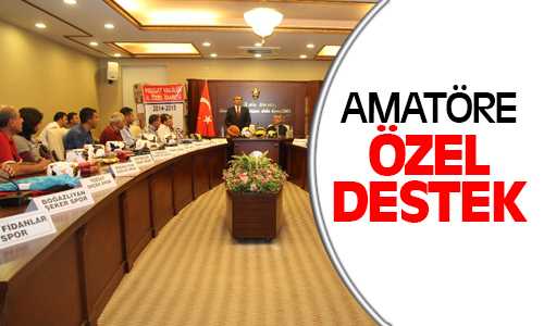 Amatöre Özel Destek