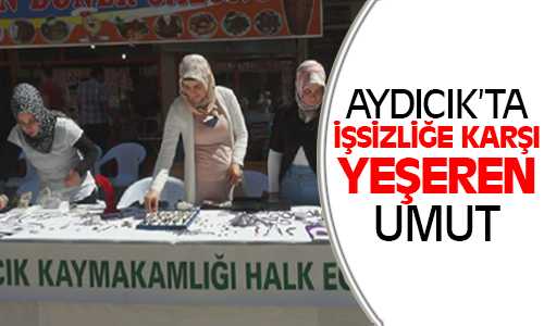 Aydıncık’ta Amertis Taşı İşsizlere Umut Olacak
