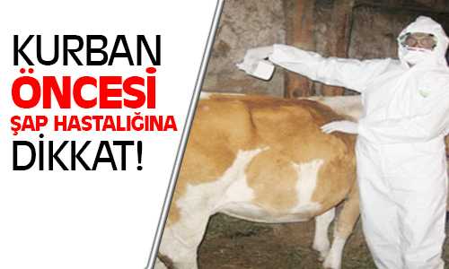 Şap Hastalığı Ele Alındı