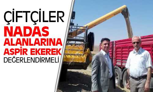İl Müdürü Özdemir, Çiftçiler Nadastan Sonra Aspir Ekimine Yönelmeli