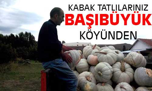 Başıbüyük Köyünde Tamamen Organik Bal Kabağı Yetiştirildi