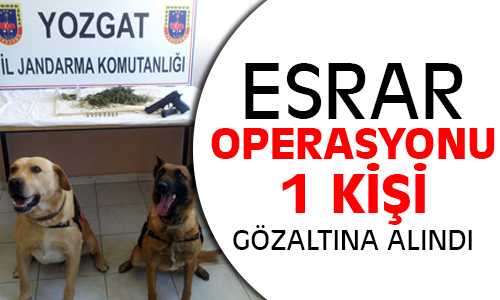 Jandarma’dan Yenifakılıda Esrar Operasyonu 1 Gözaltı