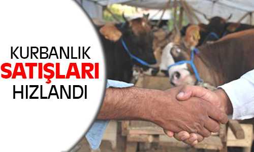 Kurbanlık Satışları Hızlandı