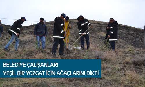 Yeşil Bir Yozgat İçin Belediye Çalışanları Kolları Sıvadı