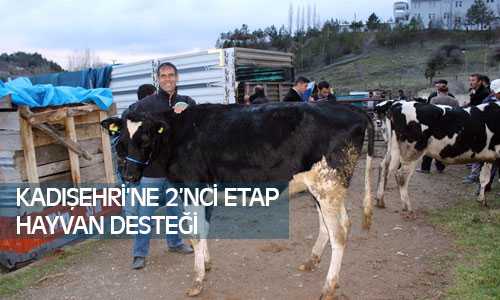 Kadışehri’nde 2’nci Etapta 18 Adet Hayvan Desteği