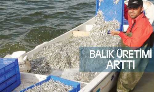 Yozgat’ta Balık Üretimi Arttı