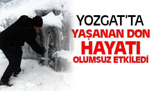 Soğuk Hava Hayatı Olumsuz Etkiledi