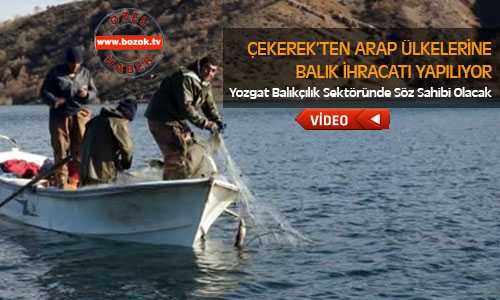 Çekerek’ten Arap Ülkelerine Balık İhracatı