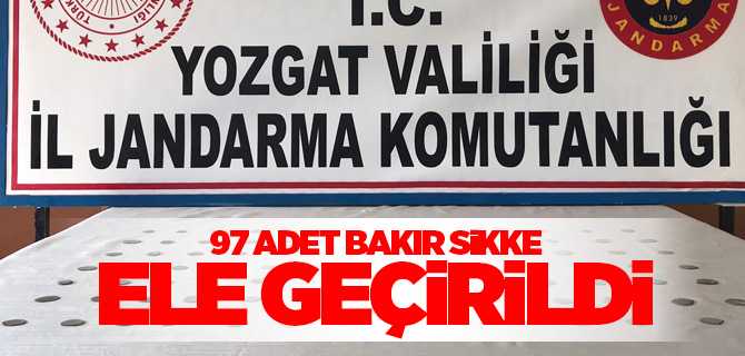 Çayıralan'da 97 adet bakır sikke ele geçirildi