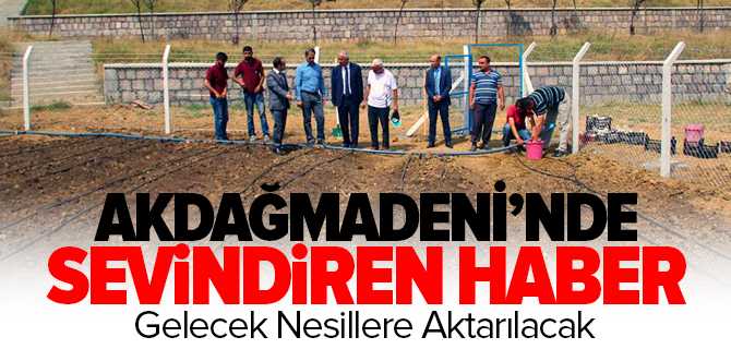 Akdağmadeni'nde Salep Bitkisinin Dikimi Yapıldı