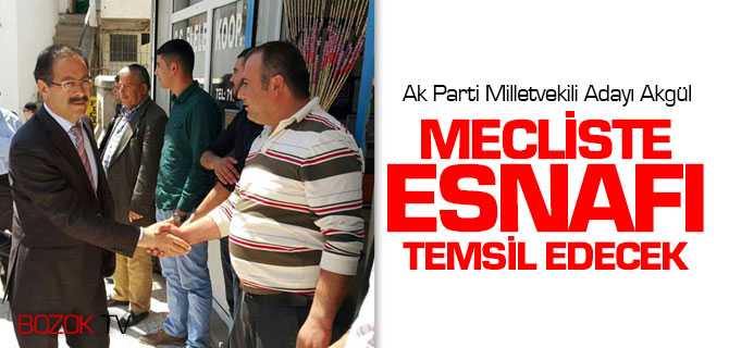 Akgül Mecliste Esnafı Temsil Edecek